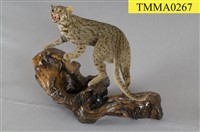 石虎藏品圖，第6張